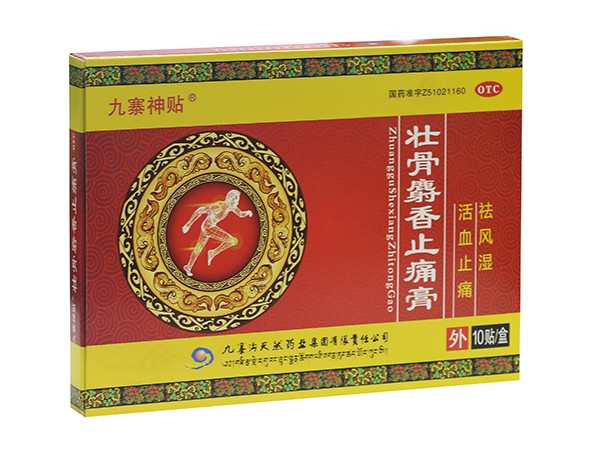 壮骨麝香止痛膏(红盒)10贴