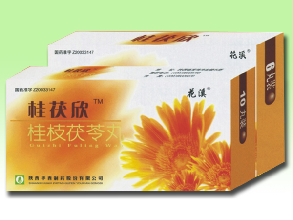 桂枝茯苓丸