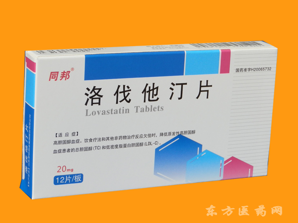 同邦—洛伐他汀片
