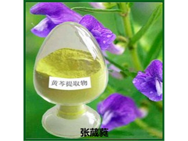 宁夏黄芩苷85%