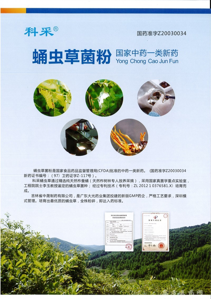 蛹虫草菌粉胶囊---中药一类新药