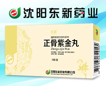 沈阳东新药业有限公司