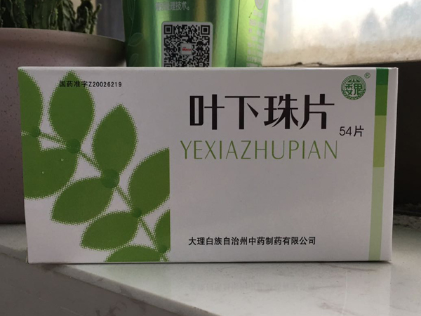 叶下珠片