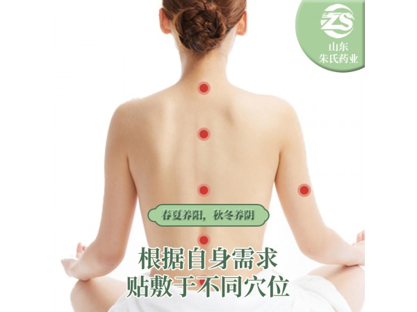 穴位贴敷治疗贴---三伏贴