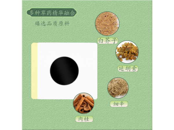 穴位贴敷治疗贴---三伏贴
