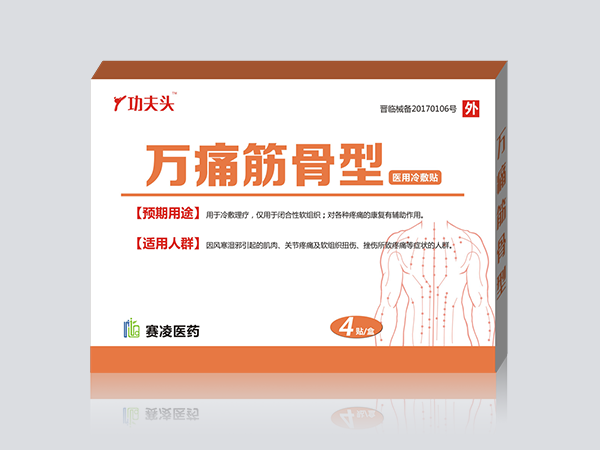 功夫头万痛筋骨型医用冷敷贴