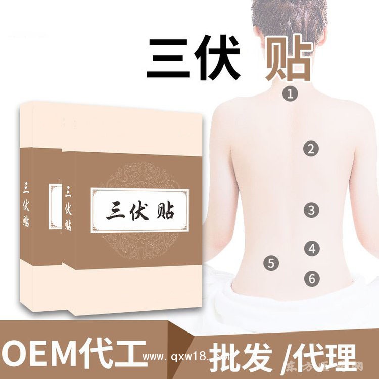 三伏贴 穴位贴oem贴牌定制代加工医院药店诊所