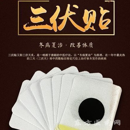 三伏贴膏药贴牌代加工 东进药业三九贴oem 空贴穴位贴敷治疗贴招三九贴代理