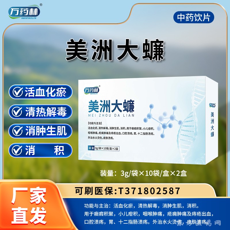 美洲大蠊