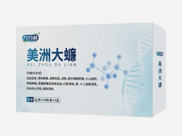 美洲大蠊