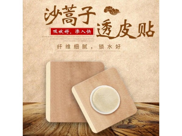 东进沙蒿子透皮贴 透皮吸收 多种规格 可OEM定制批发 供医院药店