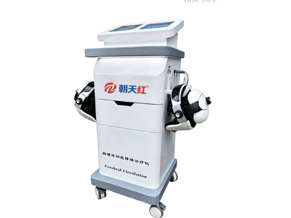 脑循环功能障碍治疗仪