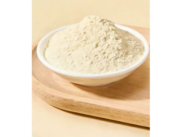 长白山20年以上野山参粉代理批发 厂家供应商