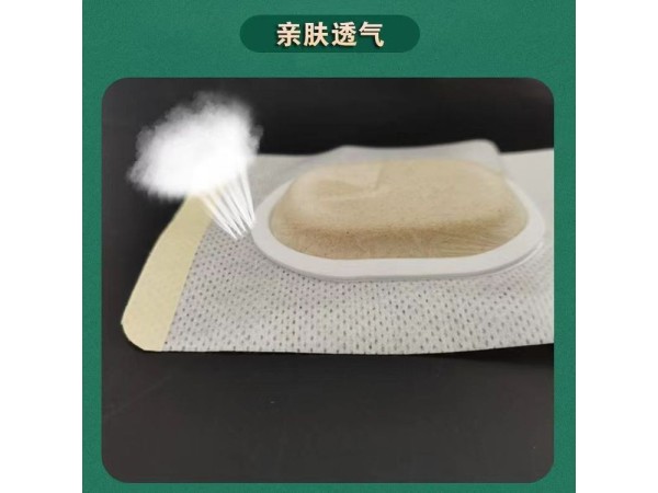 九兴药业沙蒿子透皮贴OEM代加工 支持定制  可来料加工
