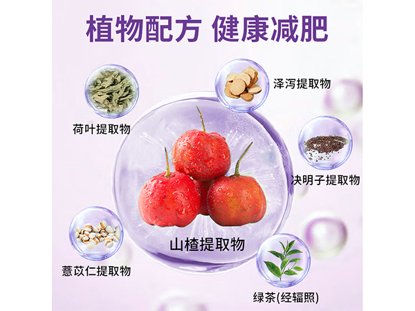 碧迪牌山楂决明子荷叶茶