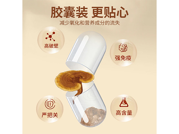 碧迪牌破壁灵芝孢子粉胶囊