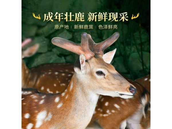 淘珀鹿茸血冻干粉 男性产品现货充足批发代理