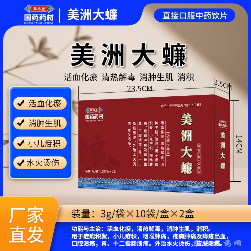 美洲大蠊